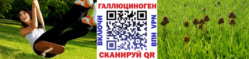 Галлюциногенные грибы мухоморы Облучье